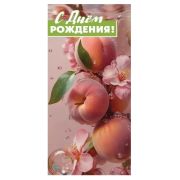 Конверт д/денег 1804803 С Днём рождения!