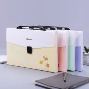 Портфель пластик А4 L&L 225507 33*23.6