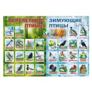 Плакат А2 Перелетные и зимующие птицы 071.088