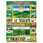 Плакат А2 Природные зоны РФ: Тайга/Смешанный лес 071.391