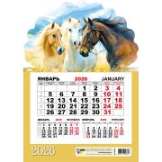Календарь на магните отрывной 2026 210х148 9381 Символ года