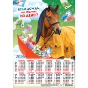 Календарь А3 2026 Символ года ПМ-26-004 Дождь из денег