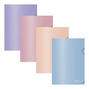 Папка-уголок А5+ ErichKrause Soft Manga 61136 непрозр., ассорти