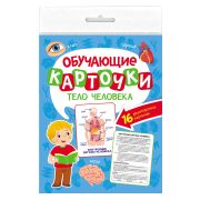 Обучающие карточки 16л. 170х220 ТЕЛО ЧЕЛОВЕКА 12765