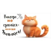 Конверт д/денег 1.0000336 Никогда не сдавайся