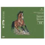Бумага для пастели 21*29,7 160г «Палаццо» Dark jungle темные джунгли БРDJ/А4