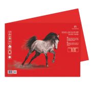 Бумага для пастели 21*29,7 160г «Палаццо» Red красный.БРR/А4