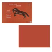 Бумага для пастели 21*29,7 160г «Палаццо» Terracotta терракота БРТ/А4