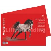 Бумага для пастели 35*50 160г «Палаццо» Red красный БРR/В3