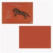 Бумага для пастели 35*50 160г «Палаццо» Terracotta терракота БРТ/В3