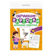 Обучающие карточки 16л. 170х220 ДОМАШНИЕ ЖИВОТНЫЕ 12762