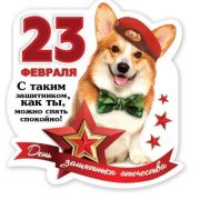Магнит виниловый 15.19.00532 «С таким защитником, как ты, можно спать спокойно!»