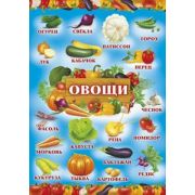 Плакат А2 Овощи 084,256
