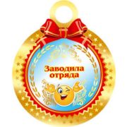 Медаль 7-41-036 Заводила отряда