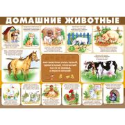Плакат А2 Домашние животные 22,048,00