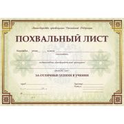 Похвальный лист КЖ-703