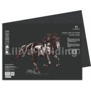 Бумага для пастели 21*29,7 160г «Палаццо» Dark night темная ночь БРDN/А4