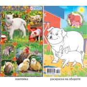 Наклейки «Домашние животные» 26531