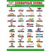 Плакат А2 Словарные слова 1 класс 070,397
