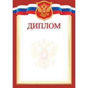 Диплом 9-19-365 (символика) эконом 157г