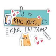 Открытка мини 008.404 «Кис-кис, как ты там?»