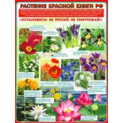 Плакат А2 Растения красной книги РФ Р2-285
